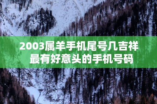 2003属羊手机尾号几吉祥  最有好意头的手机号码
