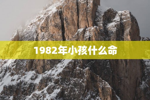 1982年小孩什么命