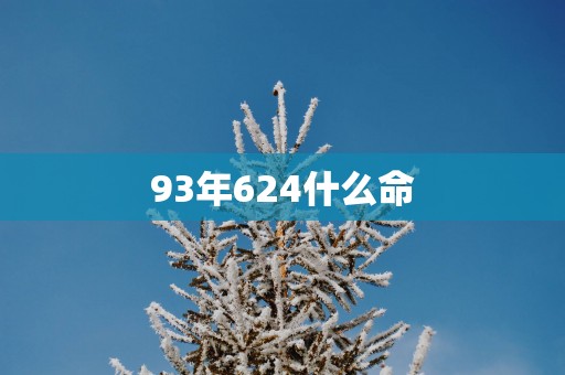 93年624什么命
