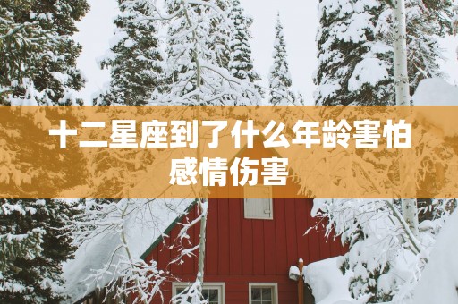十二星座到了什么年龄害怕感情伤害