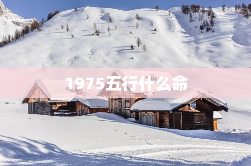 1975五行什么命