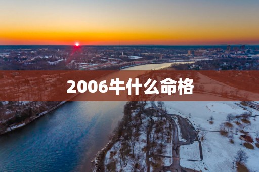 2006牛什么命格