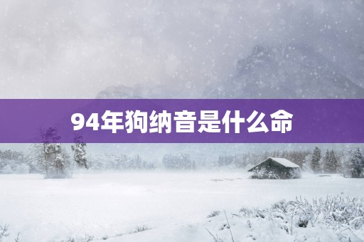 94年狗纳音是什么命