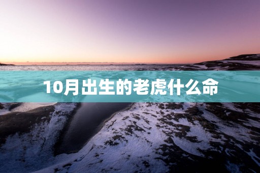 10月出生的老虎什么命