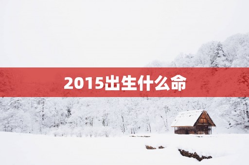2015出生什么命