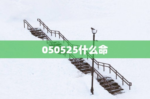 050525什么命