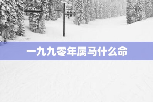 一九九零年属马什么命