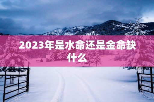 2025年是水命还是金命缺什么