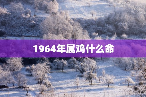 1964年属鸡什么命