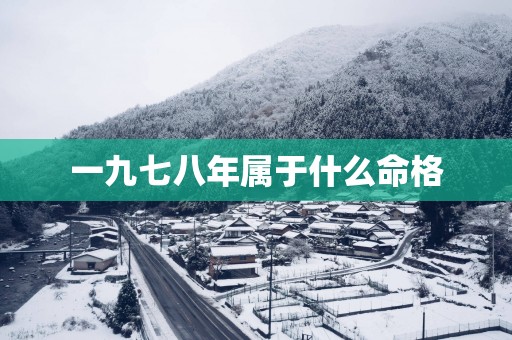 一九七八年属于什么命格