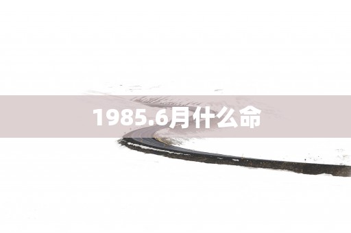 1985.6月什么命