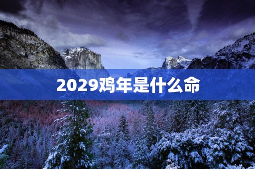 2029鸡年是什么命