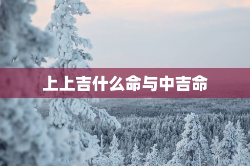 上上吉什么命与中吉命