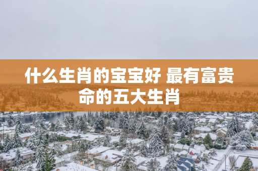 什么生肖的宝宝好 最有富贵命的五大生肖