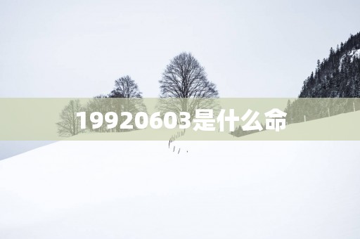 19920603是什么命