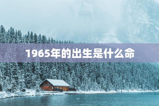 1965年的出生是什么命