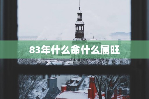 83年什么命什么属旺