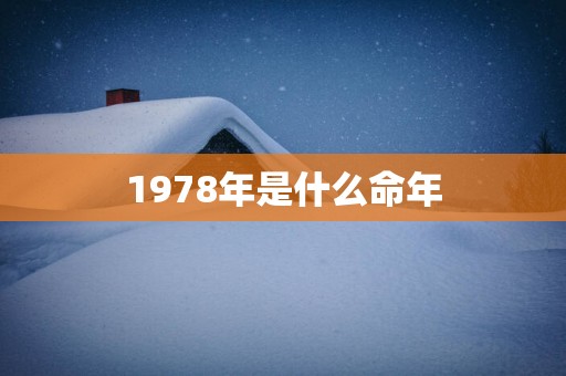 1978年是什么命年