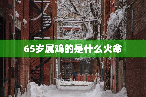 65岁属鸡的是什么火命
