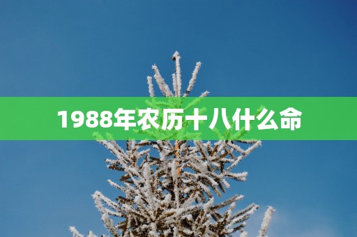 1988年农历十八什么命