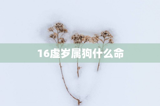16虚岁属狗什么命