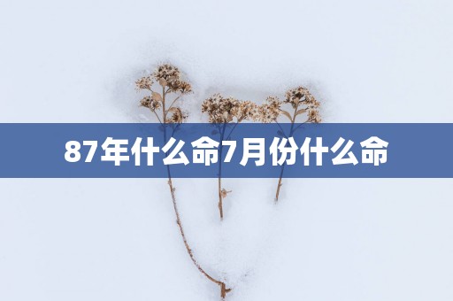 87年什么命7月份什么命