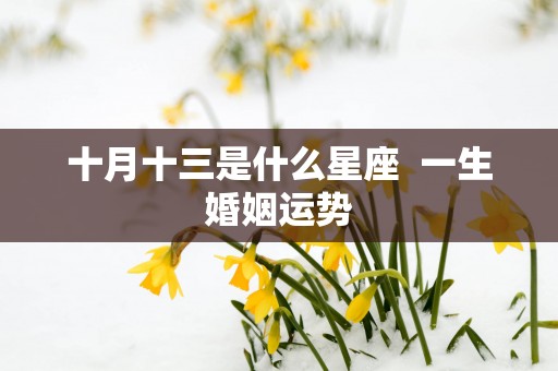 十月十三是什么星座  一生婚姻运势