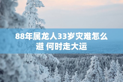88年属龙人33岁灾难怎么避 何时走大运