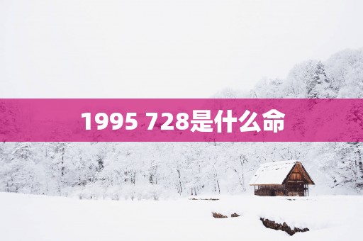 1995 728是什么命