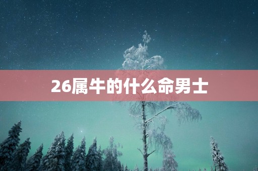 26属牛的什么命男士