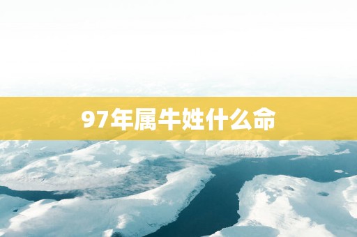 97年属牛姓什么命