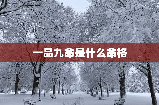 一品九命是什么命格
