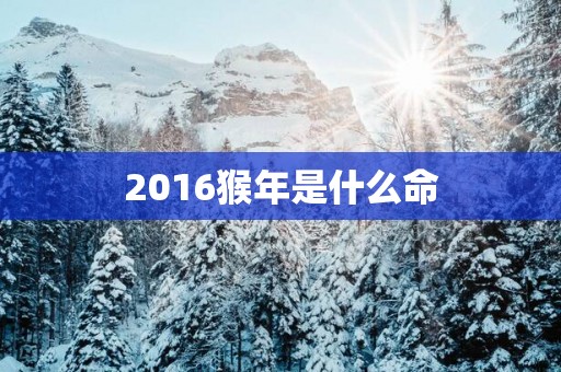 2016猴年是什么命