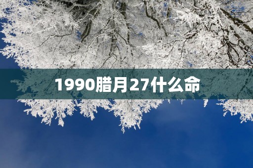 1990腊月27什么命