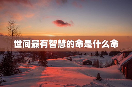世间最有智慧的命是什么命
