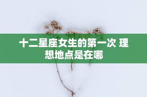十二星座女生的第一次 理想地点是在哪