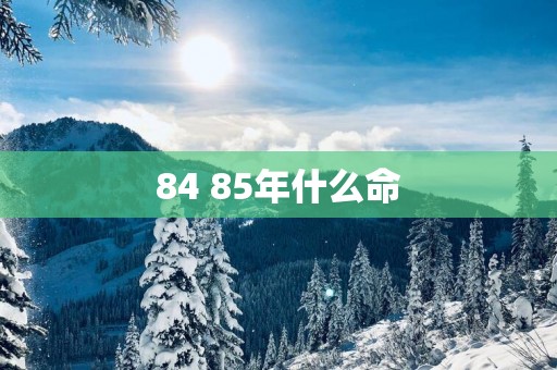 84 85年什么命