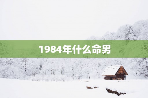 1984年什么命男