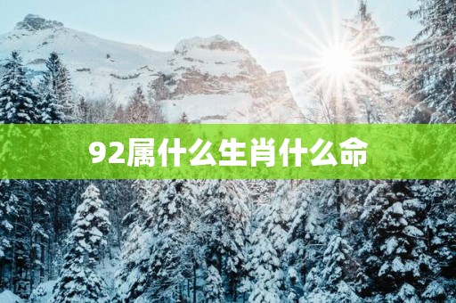 92属什么生肖什么命
