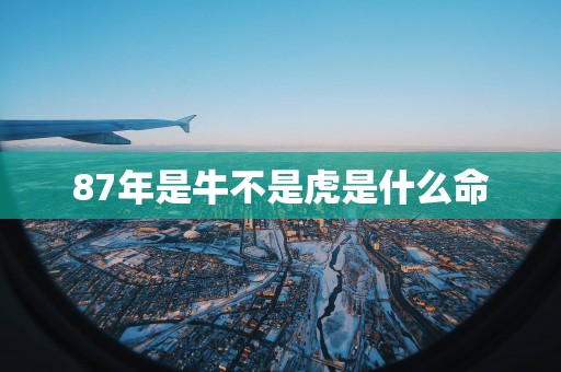 87年是牛不是虎是什么命