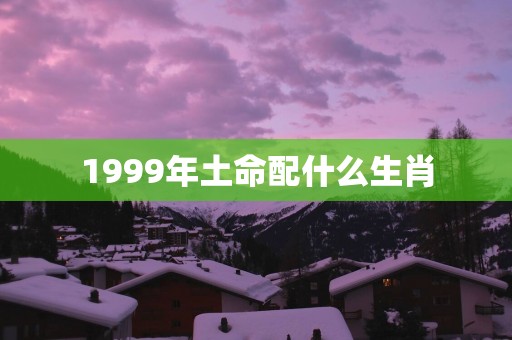 1999年土命配什么生肖