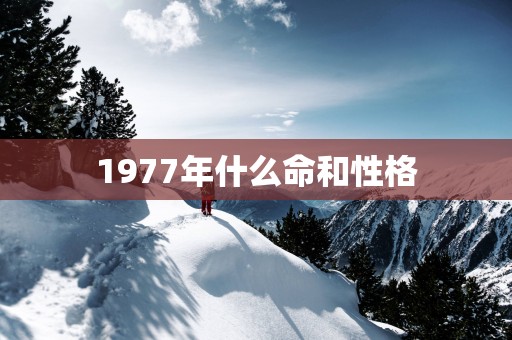 1977年什么命和性格