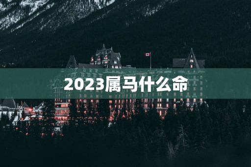 2025属马什么命