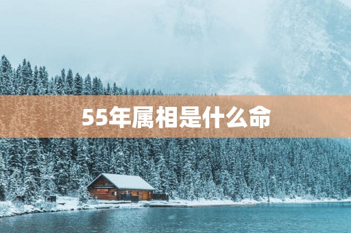 55年属相是什么命