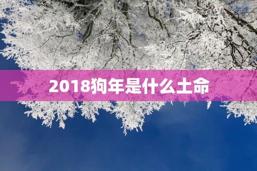 2018狗年是什么土命