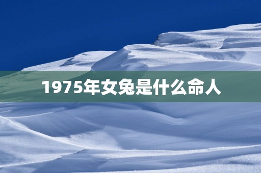 1975年女兔是什么命人