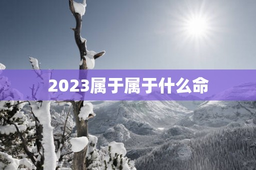 2023属于属于什么命