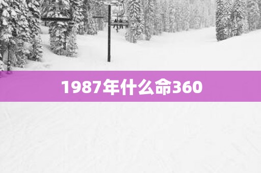 1987年什么命360