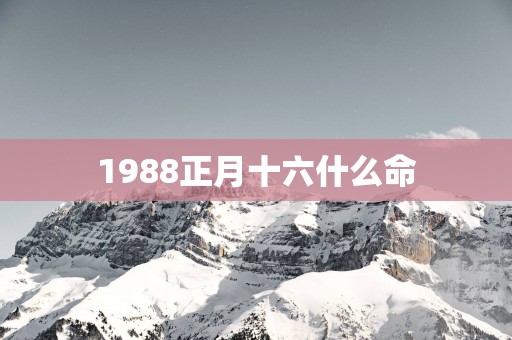 1988正月十六什么命