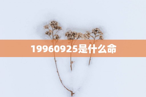 19960925是什么命
